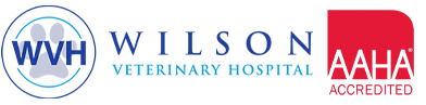 Wilson Veterinary Hospital