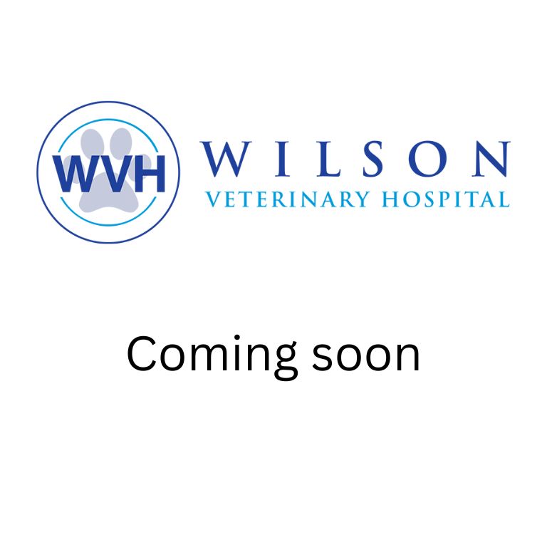 Wilson Veterinary Hospital Coming Soon