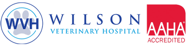 Wilson Veterinary Hospital